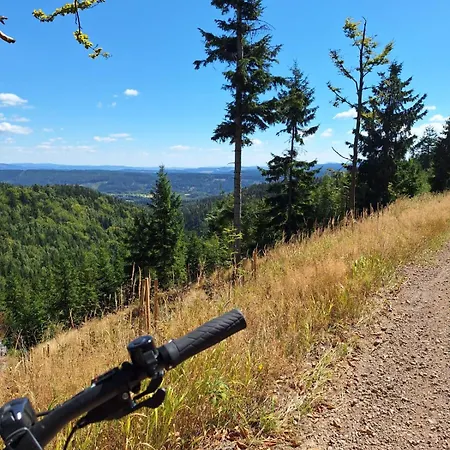Villa Julinka Olszyny (Kamienna Gora)
